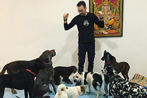 David edcucador canino rodeado de perros en clase