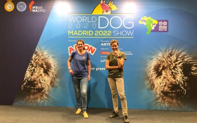World Dog Show 2022, Madrid